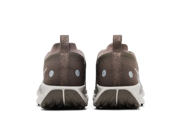 Кроссовки Nike Pegasus Trail 5 GORE-TEX 'Ironstone Velvet Brown'