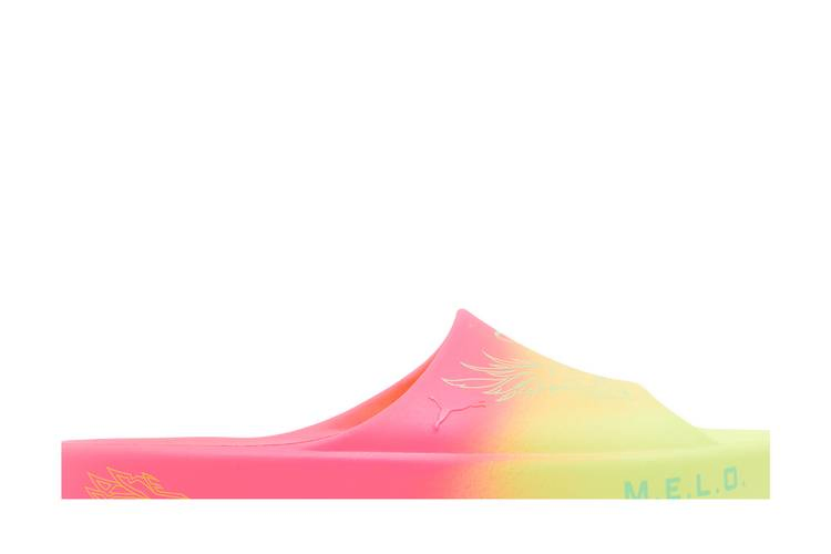 rick-and-morty-x-lamelo-ball-x-shibui-cat-slide-adventures-394167-01_01