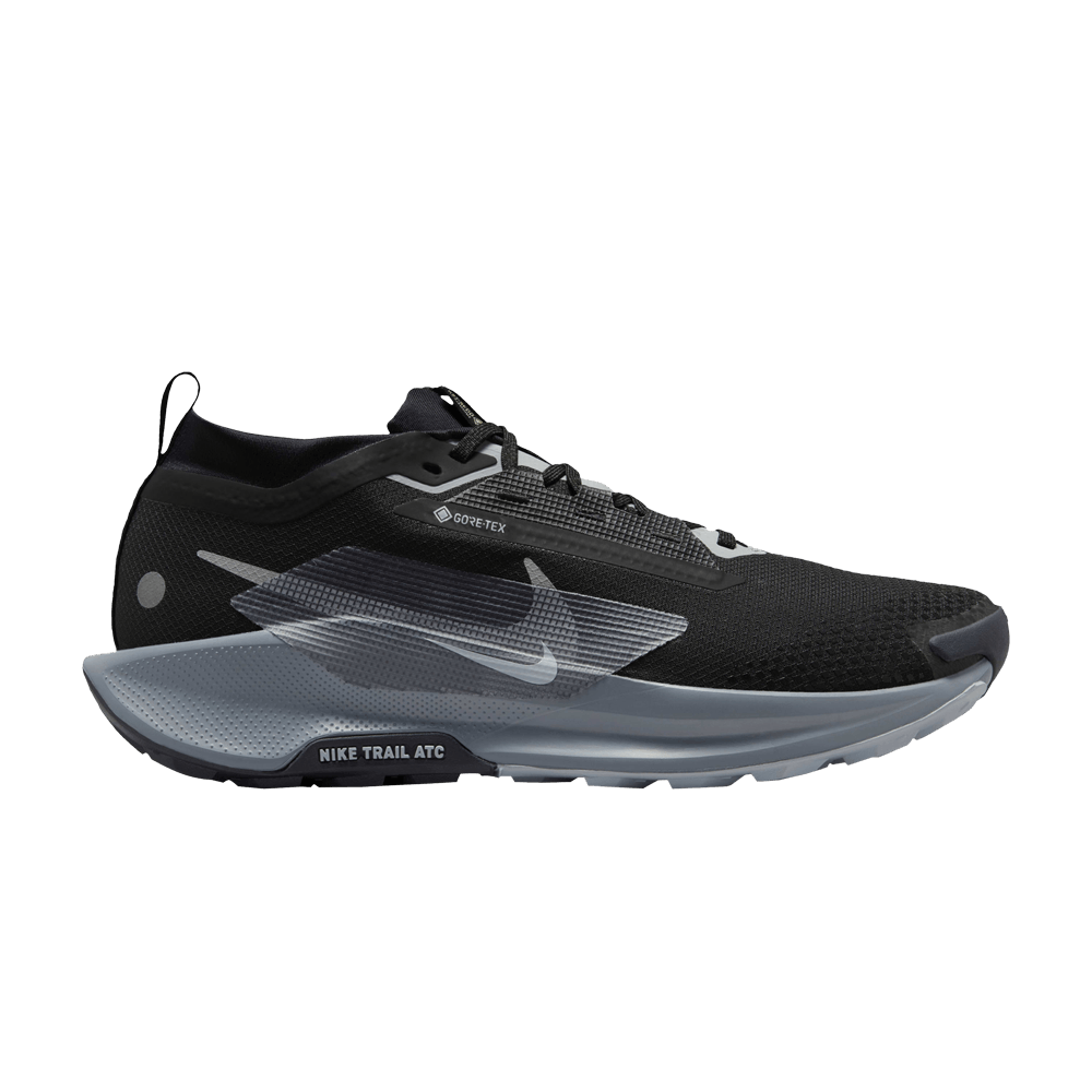 Кроссовки Nike Pegasus Trail 5 GORE-TEX 'Black Wolf Grey'