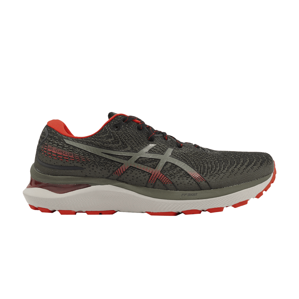 Кроссовки ASICS Gel Cumulus 24 TR 'Nature Bathing - Olive'