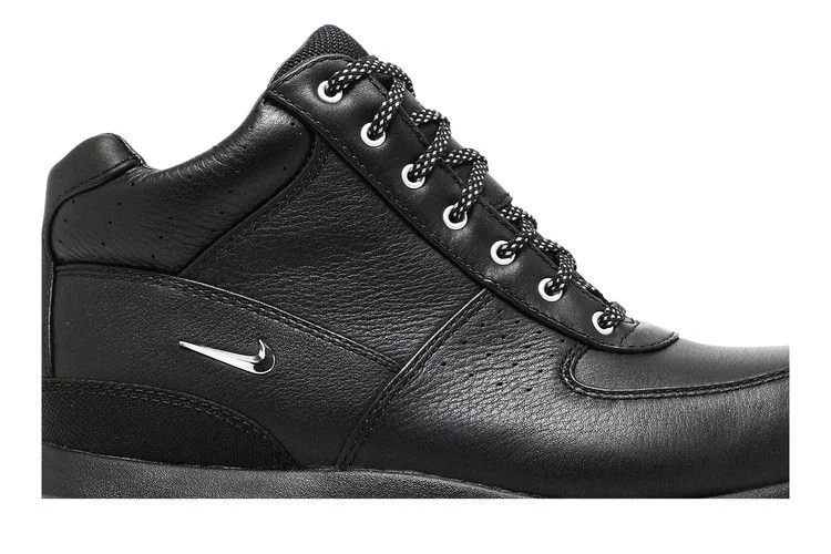 Nike-Air-Max-Goadome-20th-Anniversary-1