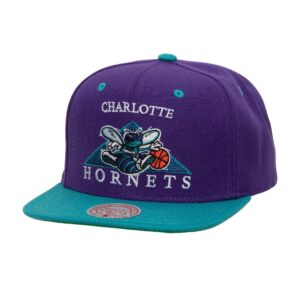 Mitchell-Ness-Monument-Snapback-HWC-Charlotte-Hornets-Hat-300x300