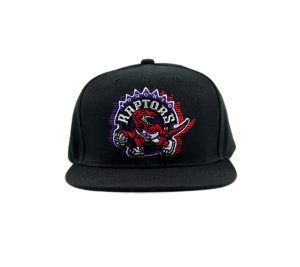 Team_Ground_Snapback_Toronto_Raptors_1-300x267