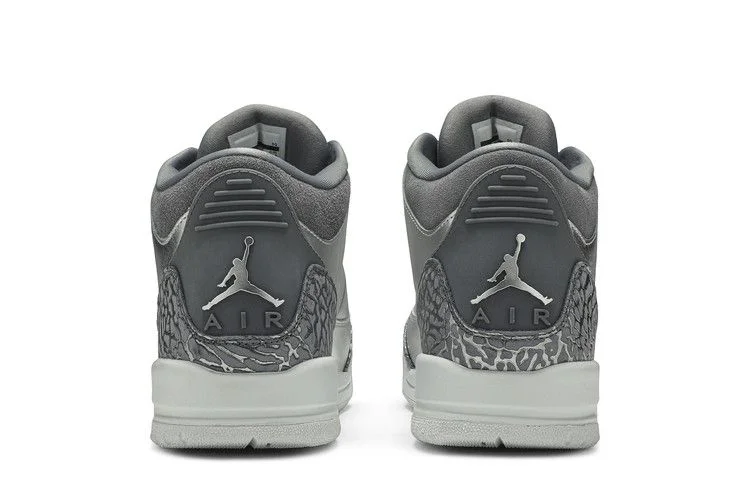 Кроссовки Air Jordan 3 Retro Premium HC GG 'Chrome'
