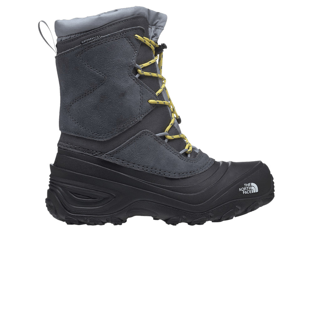 Кроссовки The North Face Alpenglow 5 Kids 'Vanadis Grey'