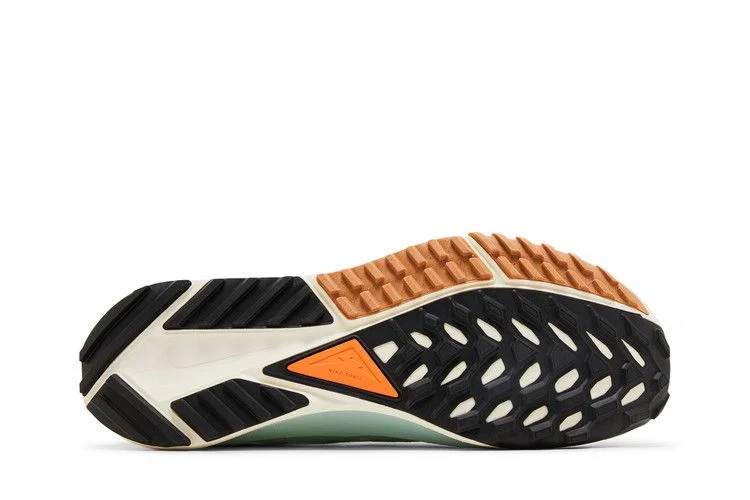 Кроссовки React Pegasus Trail 4 GORE-TEX 'Have a Nike Day'