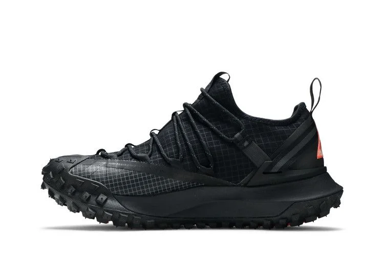 Кроссовки Nike ACG Mountain Fly Low 'Anthracite'