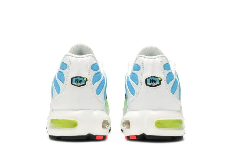Кроссовки Nike Air Max Plus 'Worldwide Pack'
