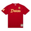 Mitchell-Ness-Premium-Vintage-Logo-Houston-Rockets-Hakeem-Olajuwon-T-Shirt-100x100