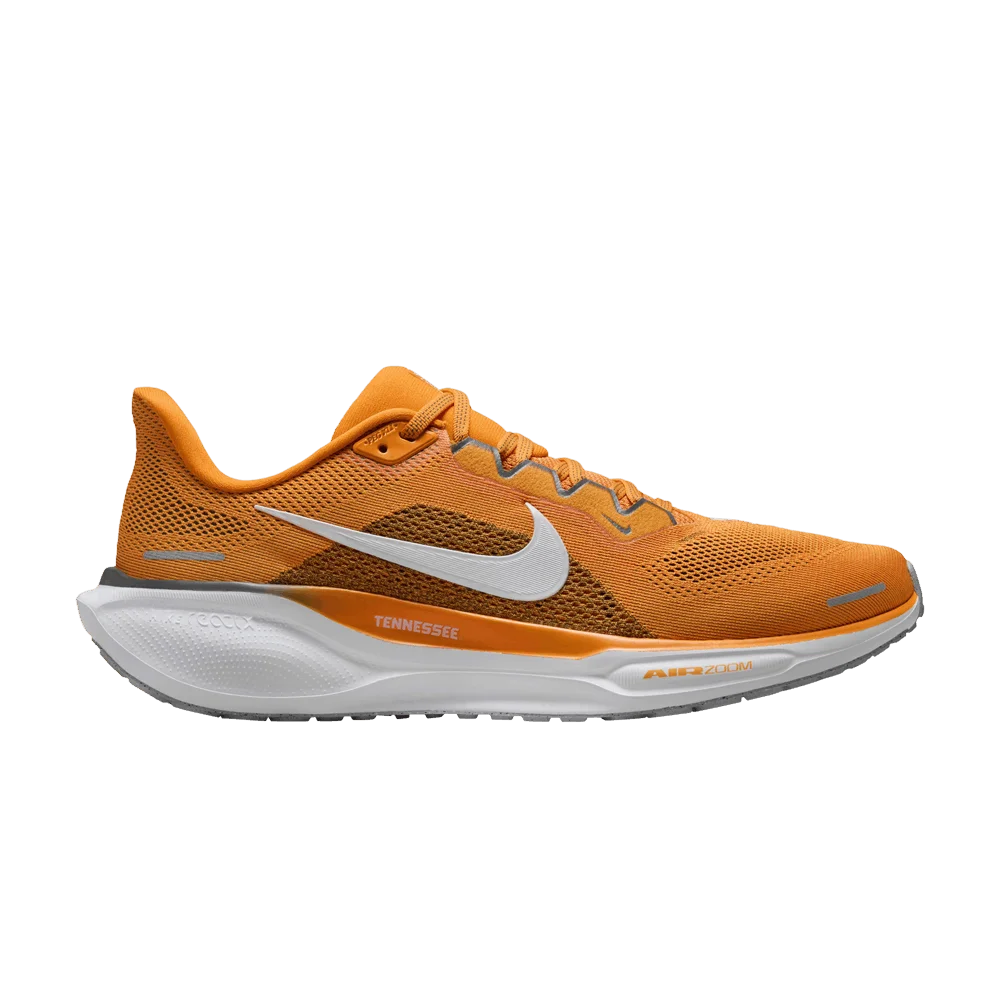 Krossovki-Nike-Air-Zoom-Pegasus-41-Tennessee