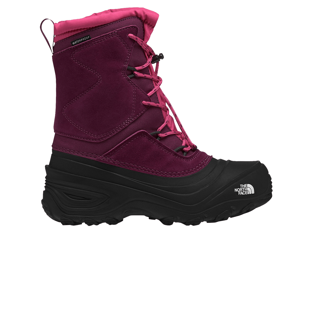 Кроссовки The North Face Alpenglow 5 Kids 'Boysenberry'