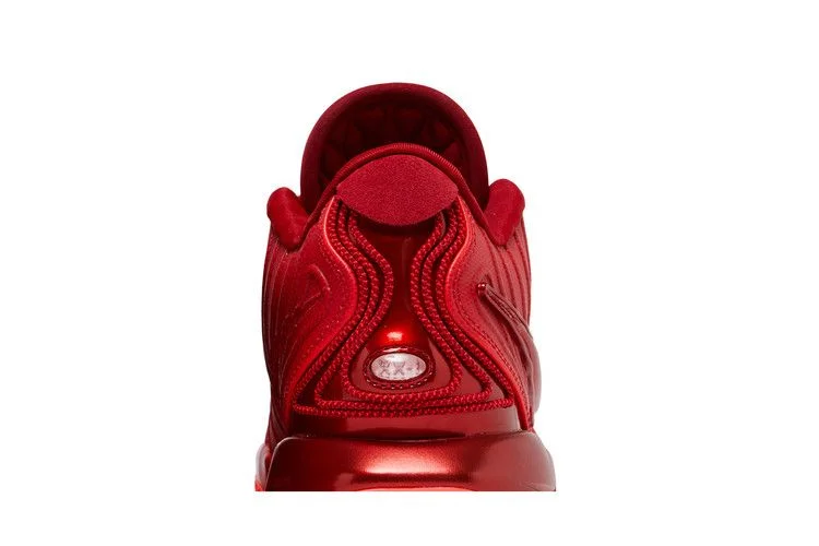 Кроссовки Nike LeBron 21 'James Gang'