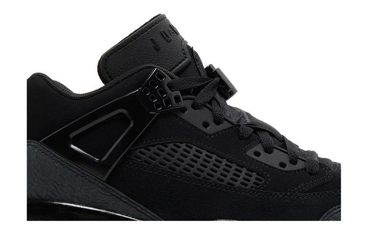 Кроссовки Air Jordan Spizike Low 'Black Cat'