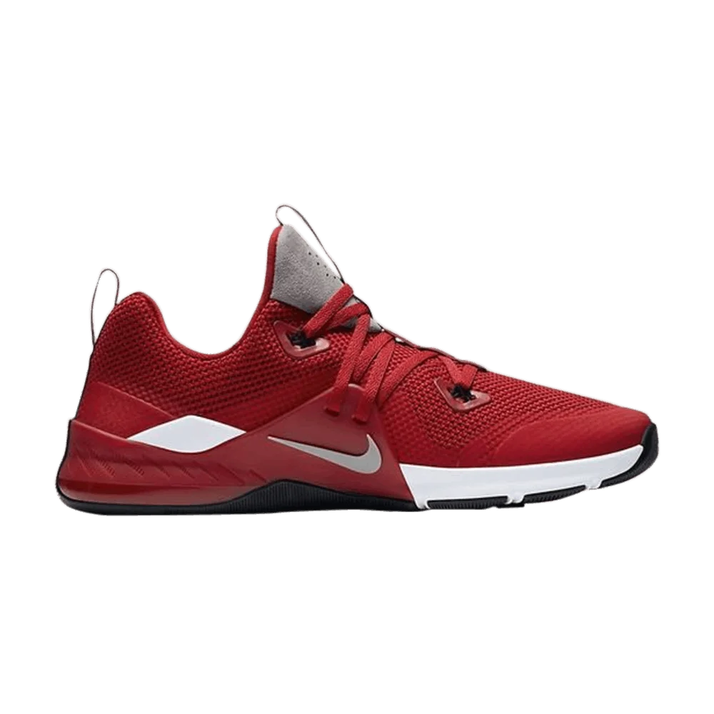 Krossovki-Nike-Zoom-Train-Command-Ohio-State