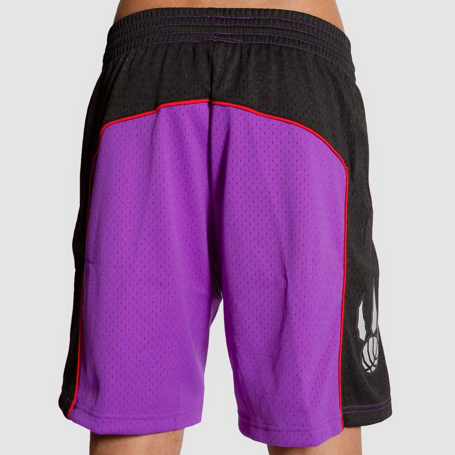 Спортивные шорты Mitchell & Ness Toronto Raptors 1999-00 Hardwood Classics Throwback Swingman NBA Shorts