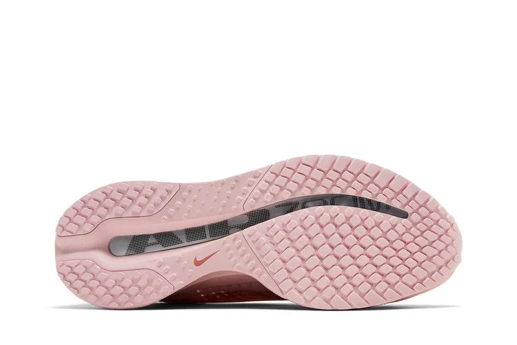 Кроссовки Nike Wmns Pegasus Premium 'Atmosphere'