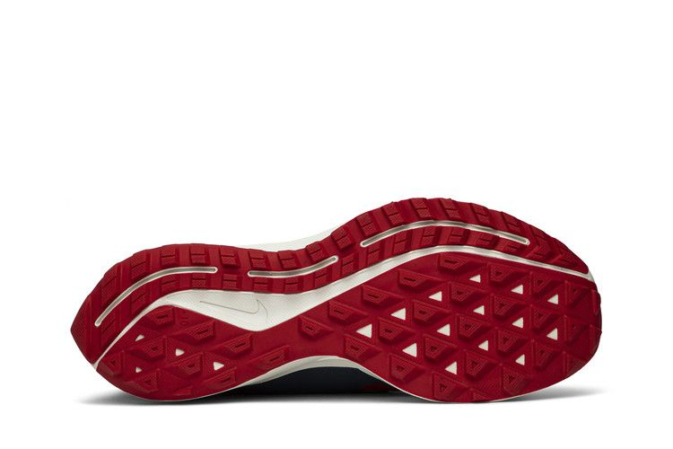 gyakusou-x-air-zoom-pegasus-36-trail-red-cd0383-600_03