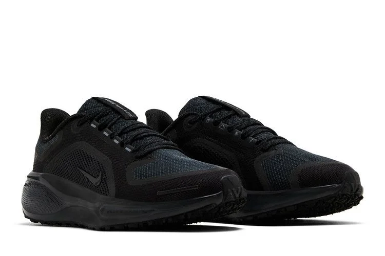 Krossovki-Nike-Wmns-Air-Zoom-Pegasus-41-GORE-TEX-Black-Anthracite-7
