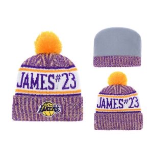 2019-Los-Angeles-Lakers-Purple-Yellow-Hat-300x297