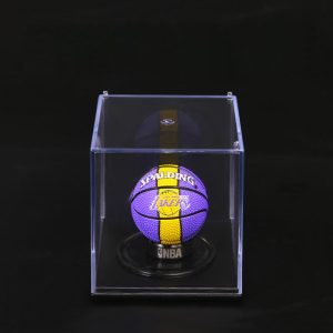 Jinduo-Lakers-Ball-Display-Keychain-300x300