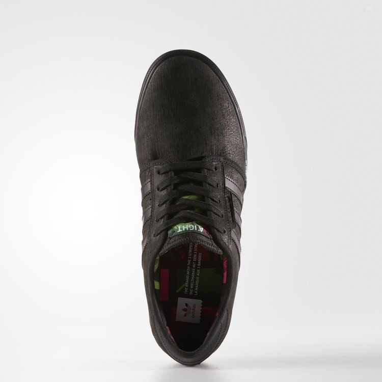 Ari Marcopoulos x adidas Seeley