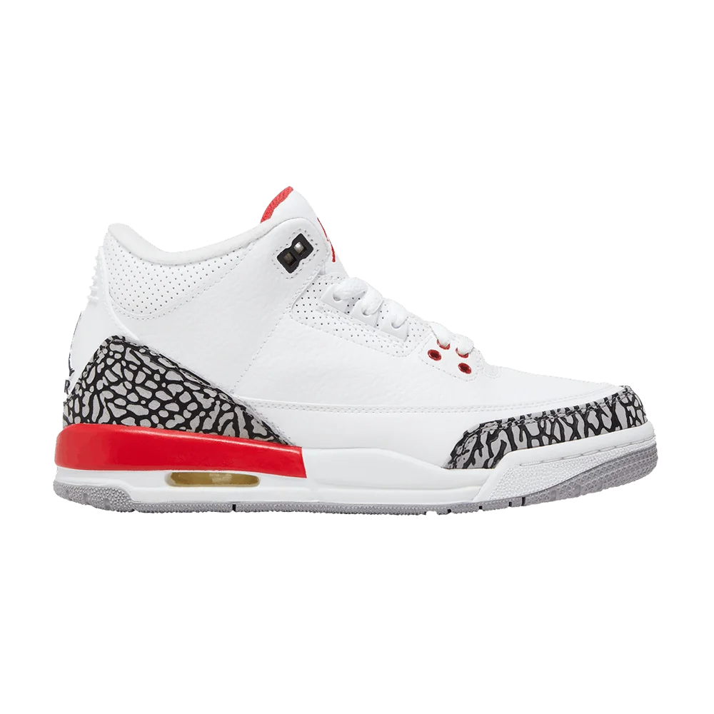 Кроссовки Sneaker Politics x Air Jordan 3 Retro GS 'Hall of Fame'