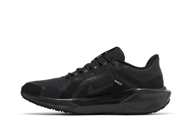 Krossovki-Nike-Air-Zoom-Pegasus-41-GORE-TEX-Black-Anthracite-2