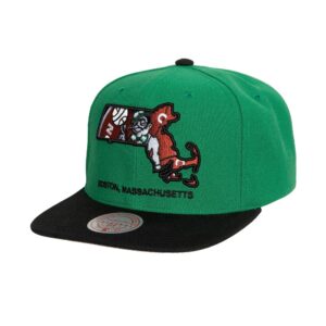 Team-Insider-Snapback-HWC-Boston-Celtics-Hat-300x300