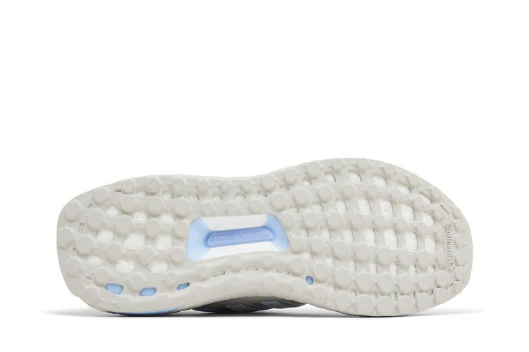 Кроссовки adidas Wmns UltraBoost 1.0 'Grey Glow Blue'