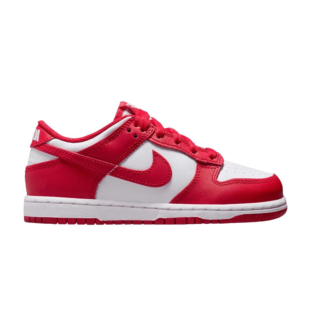 Krossovki-Nike-Dunk-Low-PS-St.-Johns