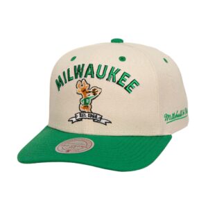 Mitchell-Ness-Legacy-Defined-Pro-Snapback-HWC-Milwaukee-Bucks-Hat-300x300
