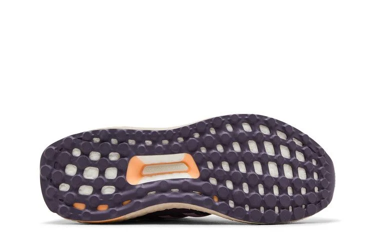 Кроссовки adidas Wmns UltraBoost 1.0 'Wonder Orchid'
