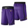 2019-Los-Angeles-Lakers-Purple-City-Shorts-100x100