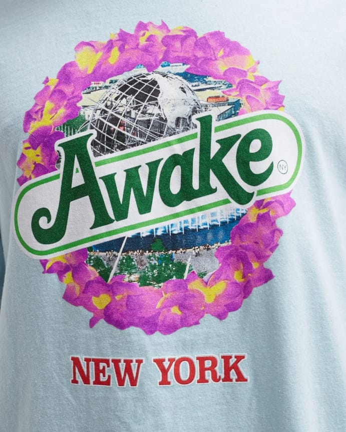 Футболка Awake Strawberry Kiwi T-shirt Glacier