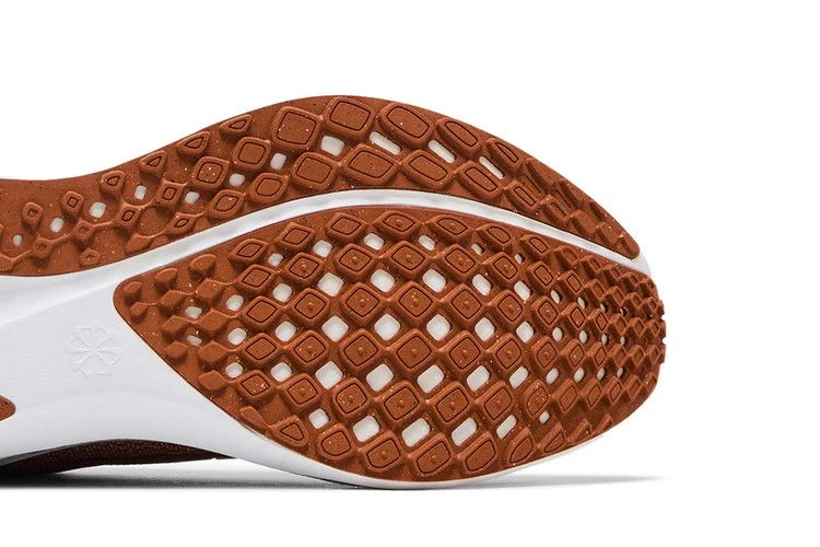 Кроссовки Nike Air Zoom Pegasus 41 'Texas 2024'