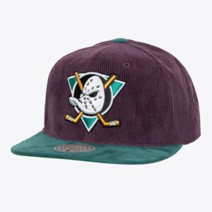 Mitchell-Ness-Purple-Teal-Anaheim-Ducks-Vintage-Sueduroy-Snapback-Hat-300x300