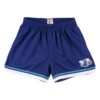 Mitchell-Ness-Unisex-Jump-Shot-Charlotte-Hornets-Shorts-100x100