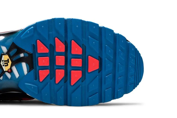 Кроссовки Nike Air Max Plus 'Time Capsule'