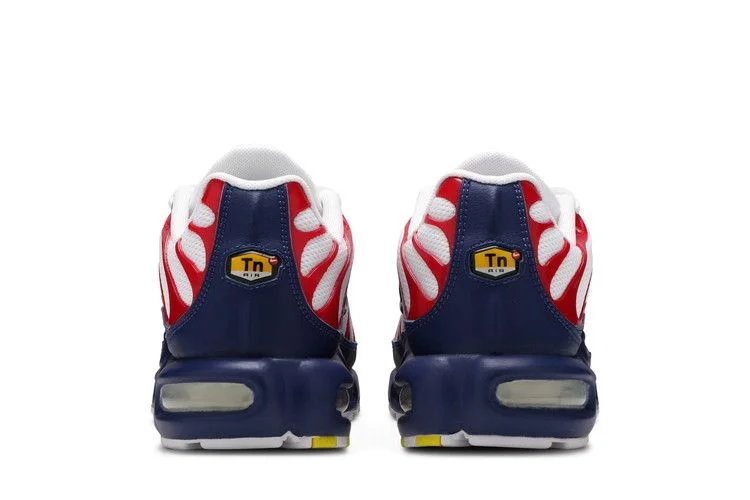 Кроссовки Nike Air Max Plus 'USA'