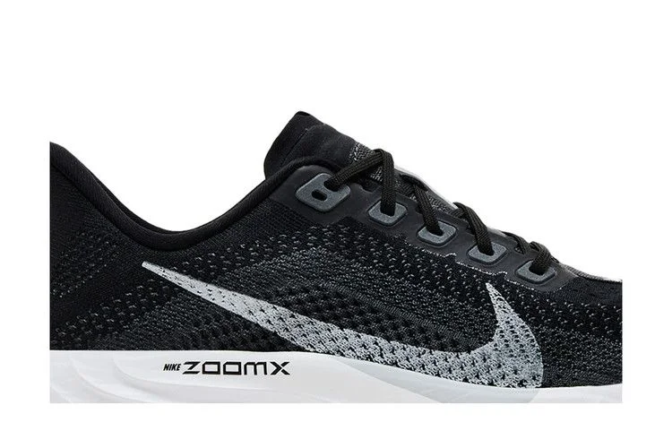 Кроссовки Nike Pegasus Plus 'Black Pure Platinum'
