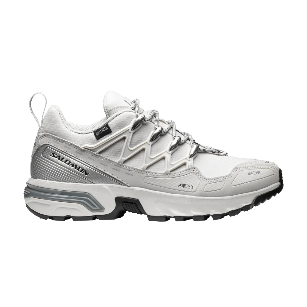 Krossovki-Salomon-ACS-OG-CSWP-Lunar-Rock-Silver-Metallic