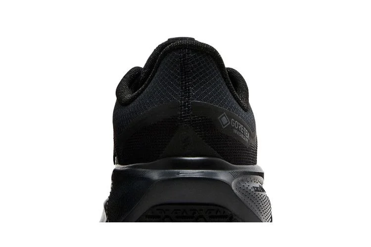 Krossovki-Nike-Wmns-Air-Zoom-Pegasus-41-GORE-TEX-Black-Anthracite-6