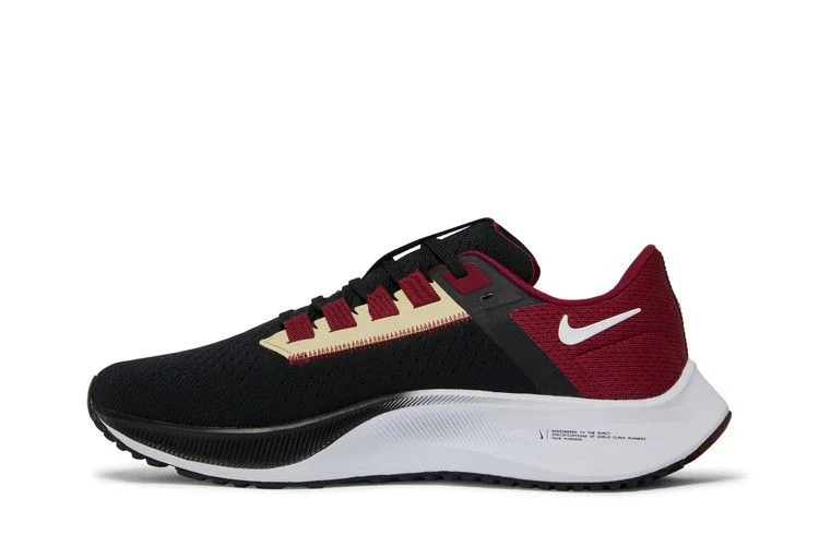 Кроссовки Nike Air Zoom Pegasus 38 'Florida State'