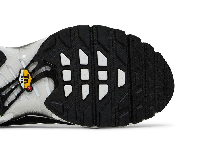 Кроссовки Nike Air Max Plus GS 'White Reflect Silver Fresh Mint'