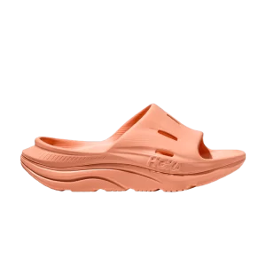 ora-recovery-slide-3-papaya-1135061-ppyp-300x300