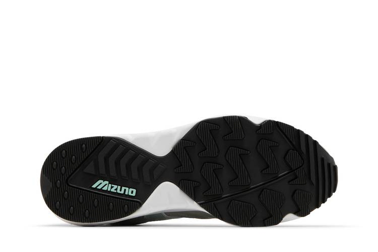 hanon-x-contender-grampus-dolphin-d1gd212001_03