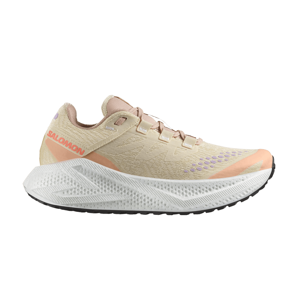Кроссовки Salomon Wmns Aero Glide 3 GRVL 'Shortbread'