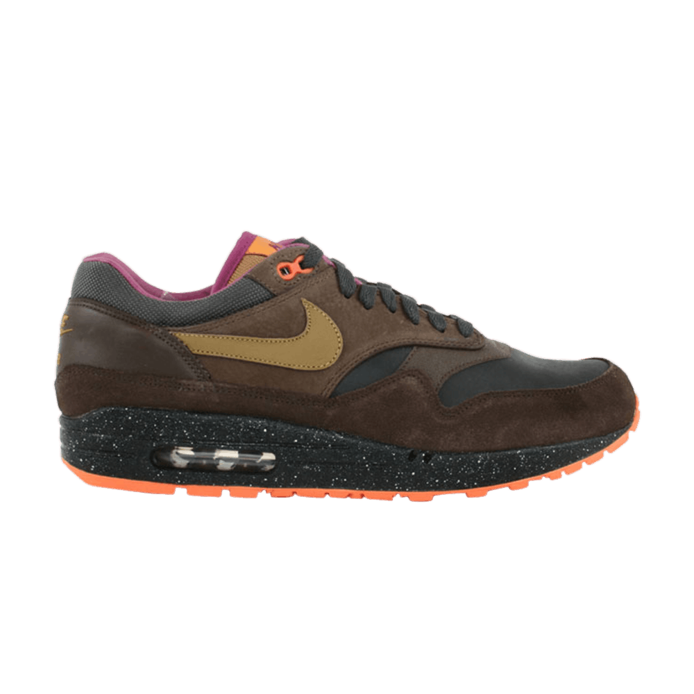 air-max-1-premium-309717-031