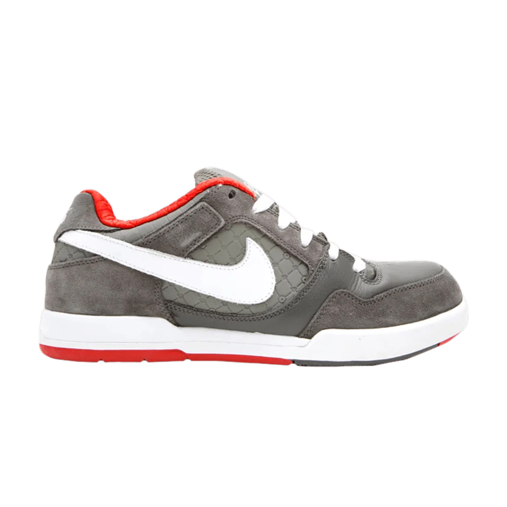 Krossovki-Nike-Paul-Rodriguez-2-Zoom-Air-Pigeon