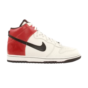 dunk-high-premium-312786-221-300x300